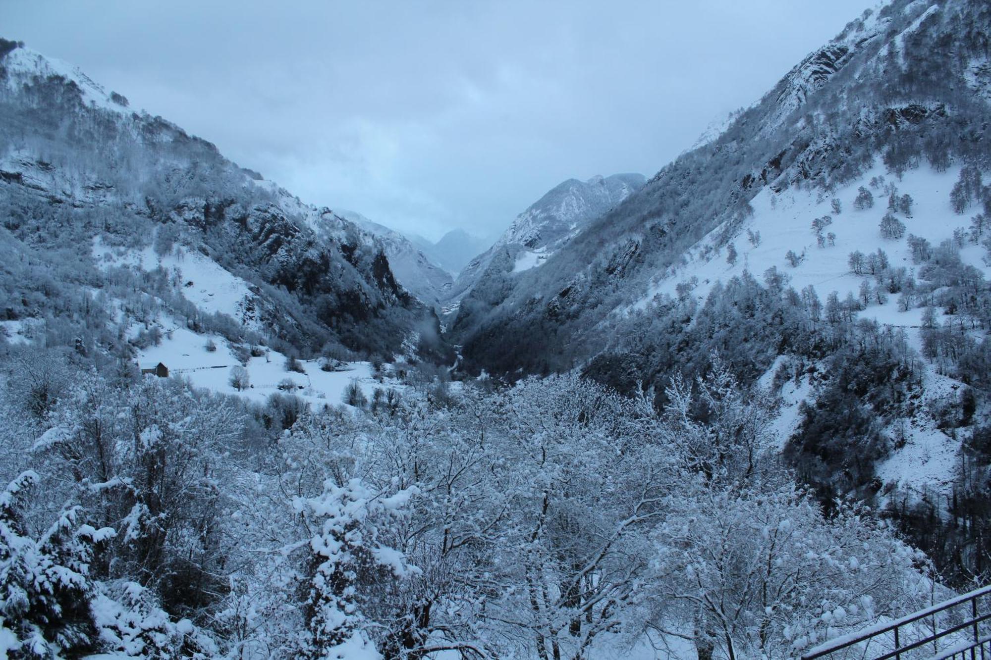 Auberge Toison D'Or Cette-Eygun ห้อง รูปภาพ